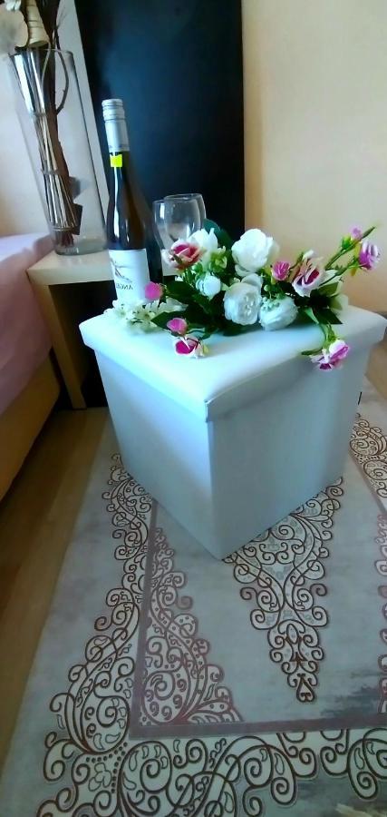 Rose & Water Guest House Pavel Banja Kültér fotó