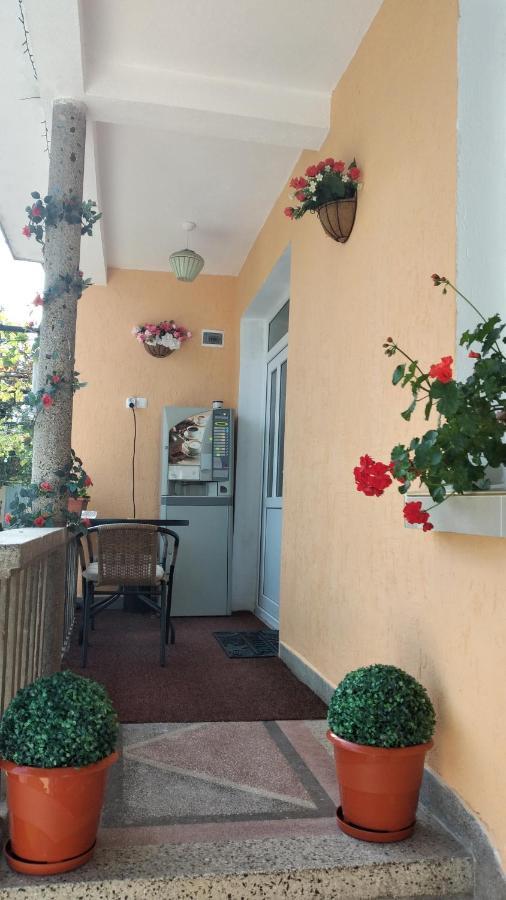 Rose & Water Guest House Pavel Banja Kültér fotó